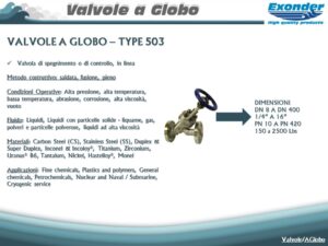 globo_503