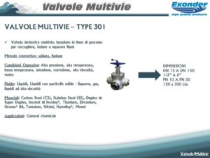 multivie_301