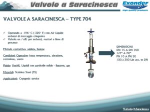saracinesca_704