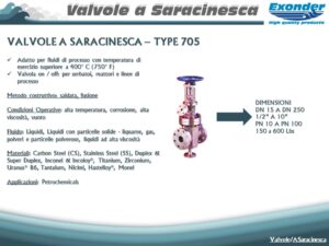 saracinesca_705