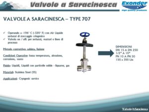 saracinesca_707