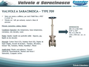 saracinesca_709